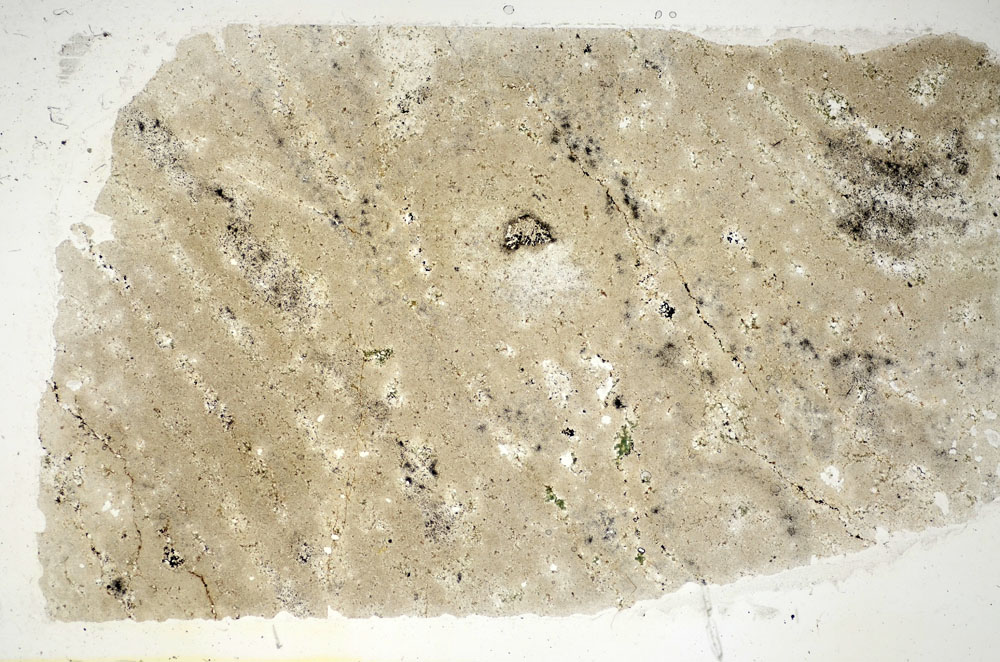 Plane Polarized, S84462