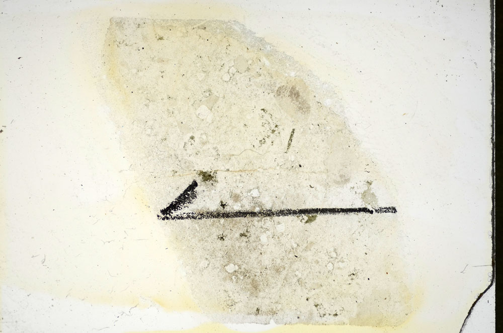 Plane Polarized, S84467