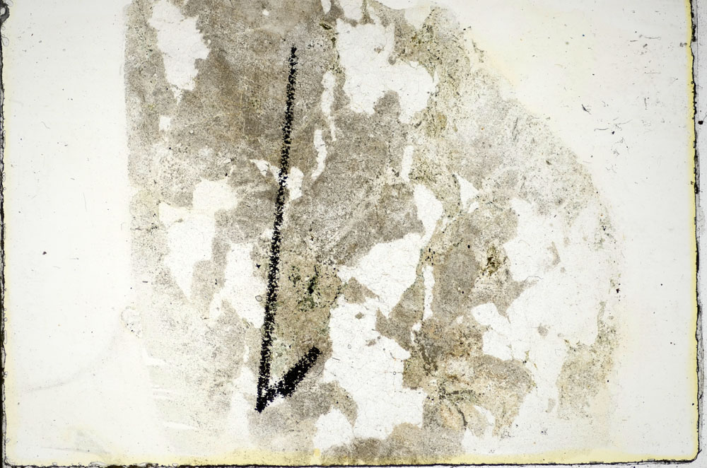 Plane Polarized, S84469