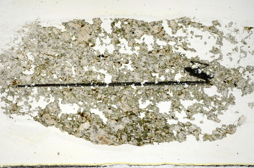 Plane Polarized, S84477