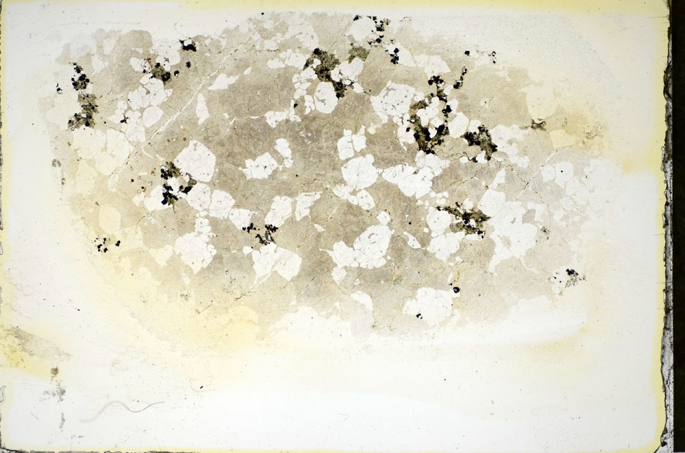 Plane Polarized, S84487