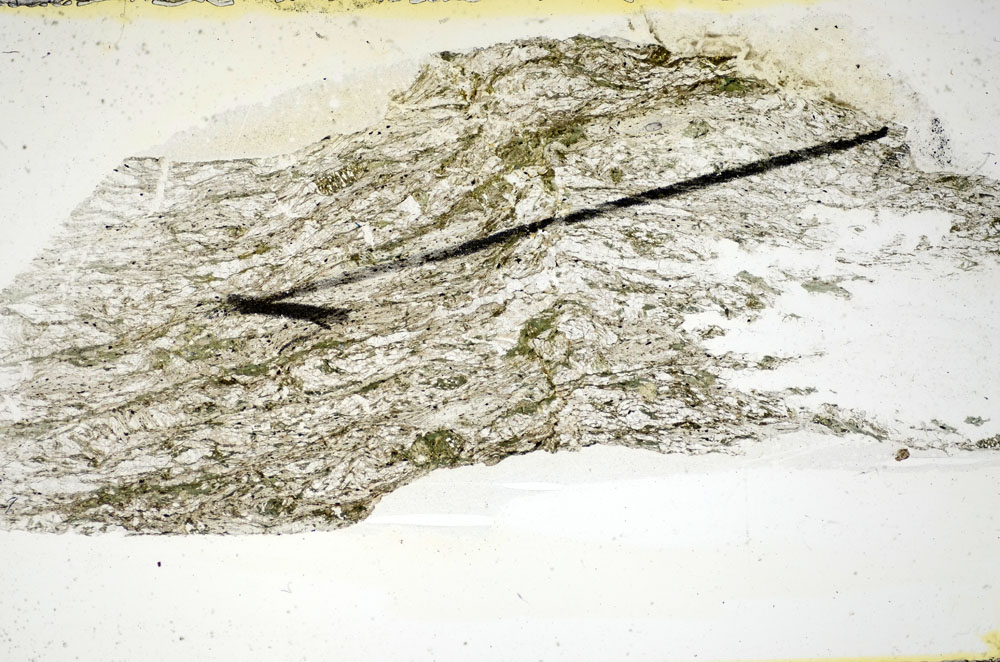 Plane Polarized, S84488