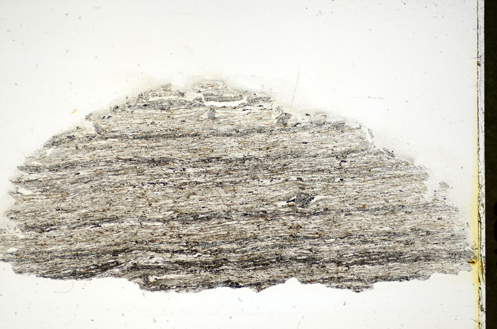 Plane Polarized, S84489