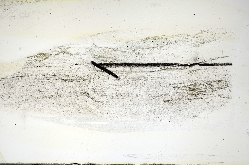 Plane Polarized, S84490