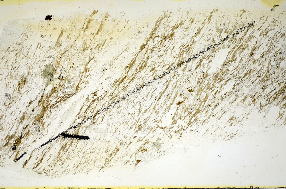 Plane Polarized, S84491