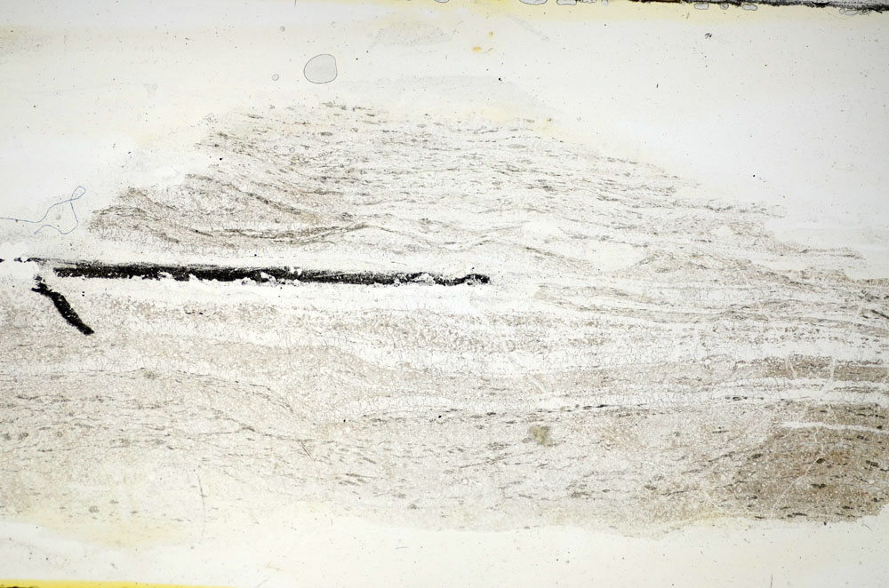 Plane Polarized, S84496