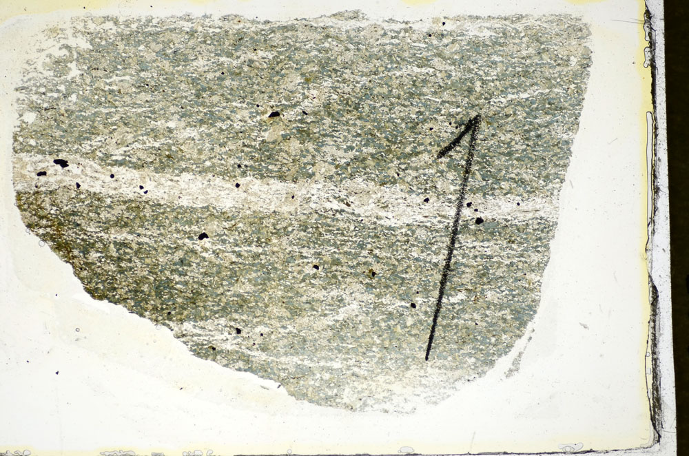 Plane Polarized, S84516
