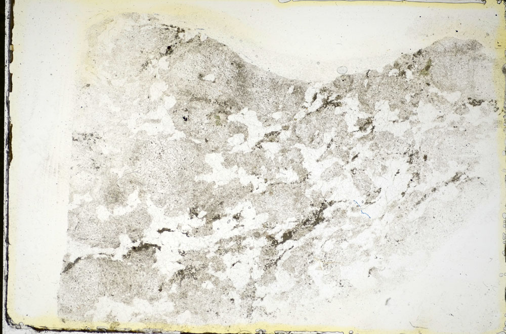 Plane Polarized, S84518