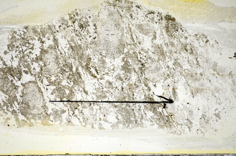 Plane Polarized, S84520