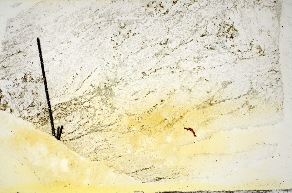 Plane Polarized, S84521