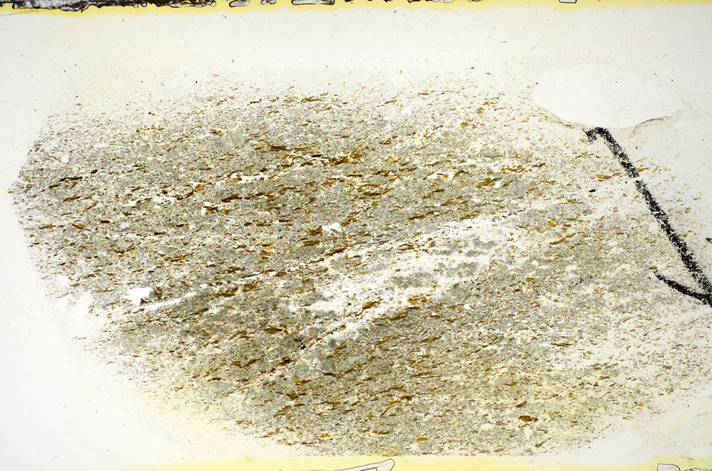 Plane Polarized, S84524