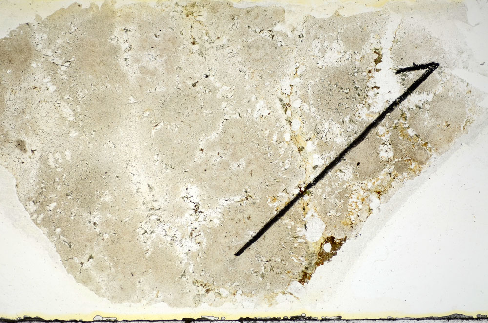 Plane Polarized, S84526