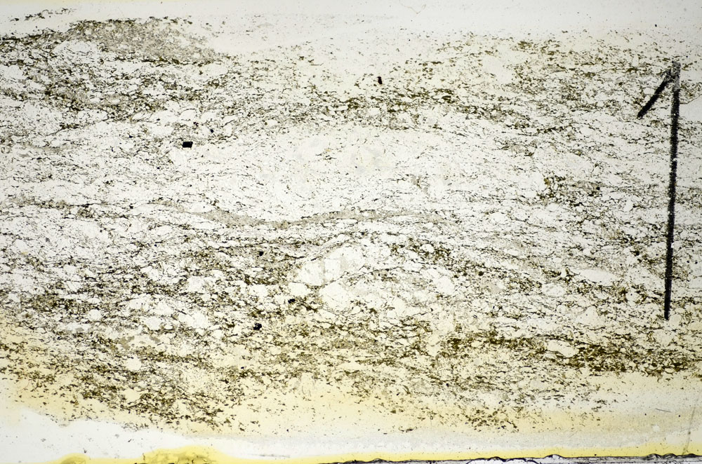 Plane Polarized, S84529