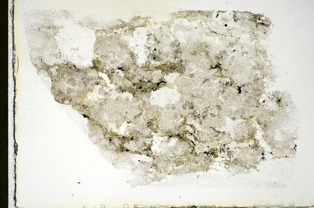 Plane Polarized, S84536