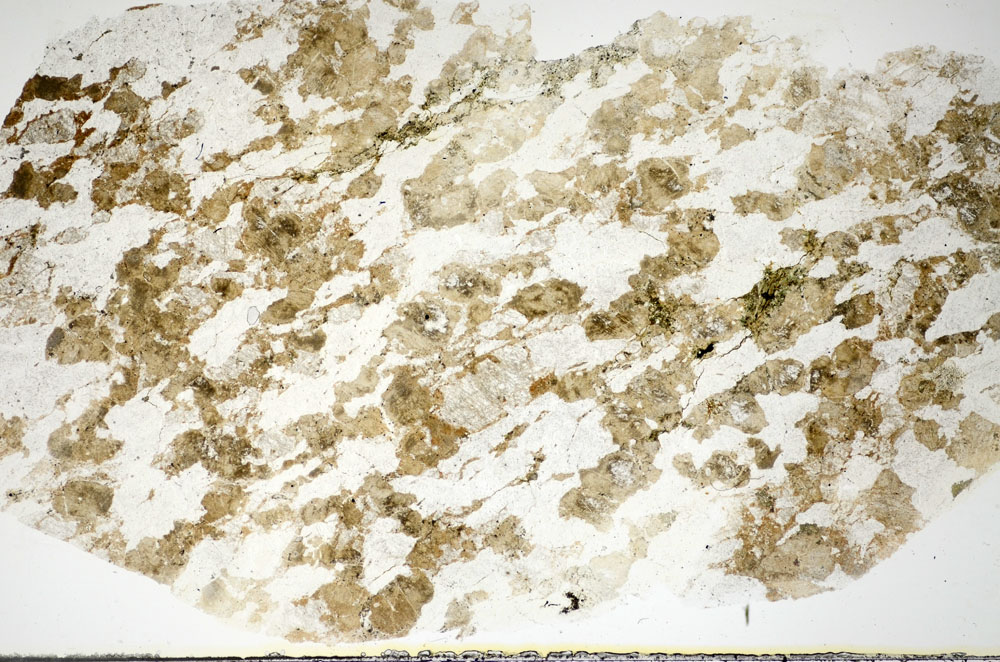 Plane Polarized, S84537