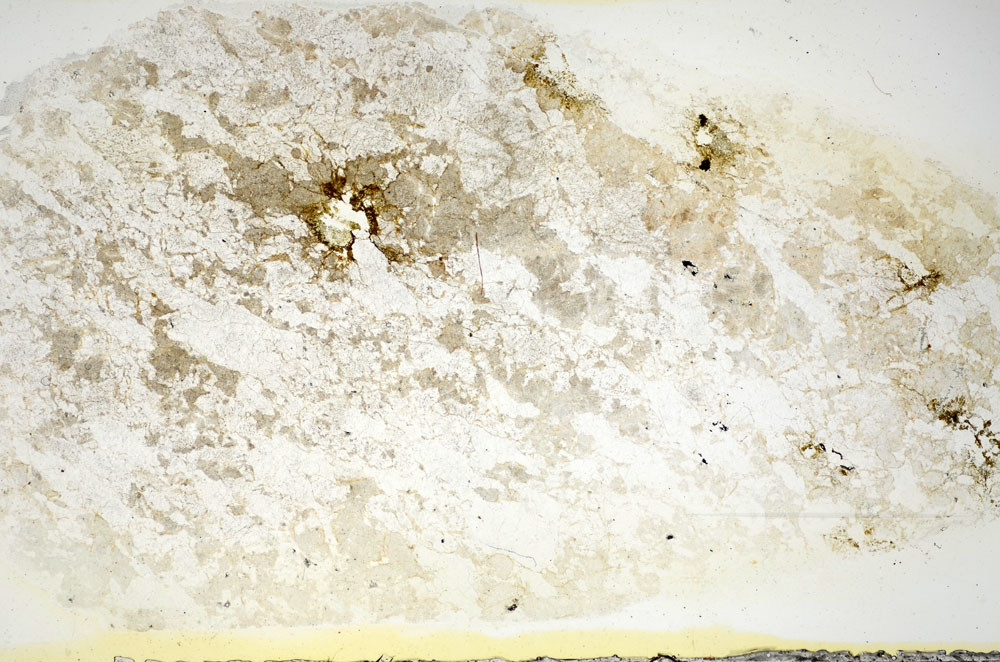 Plane Polarized, S84539