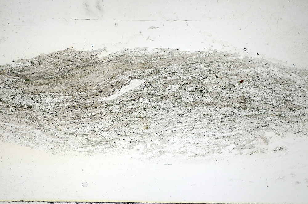 Plane Polarized, S84572