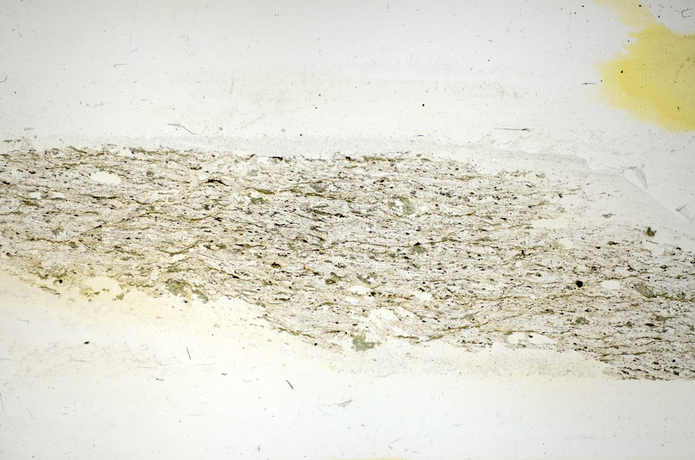 Plane Polarized, S84574