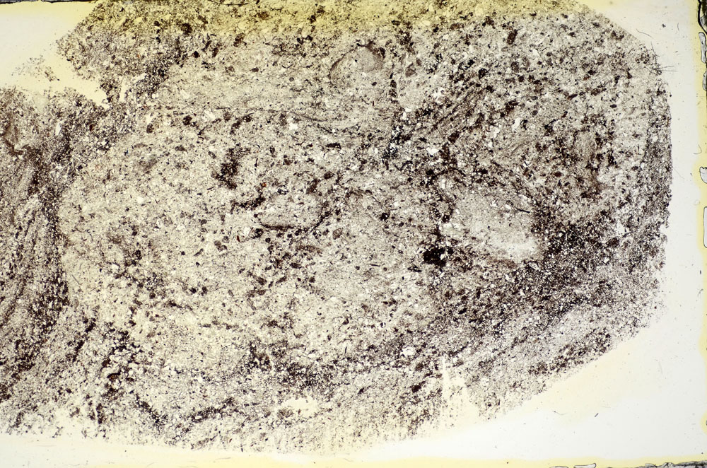 Plane Polarized, S84575