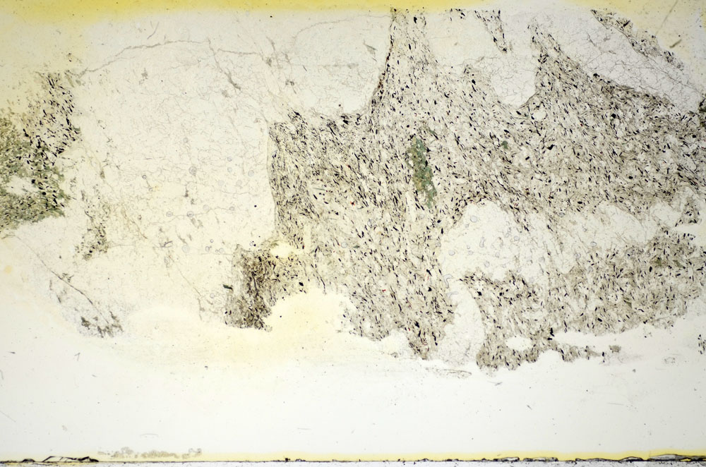 Plane Polarized, S84576