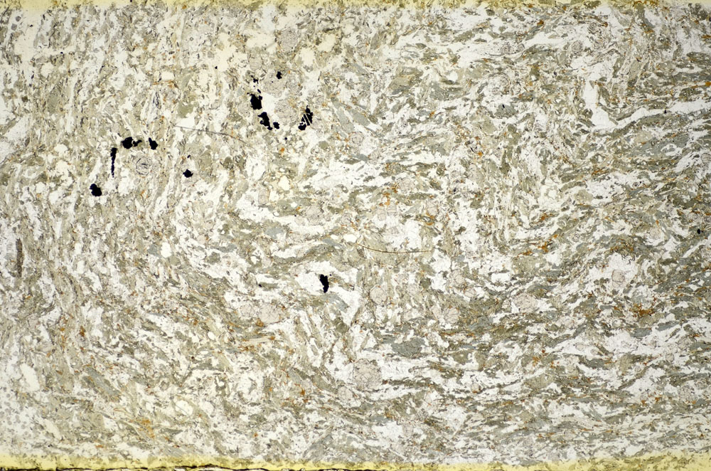 Plane Polarized, S84578