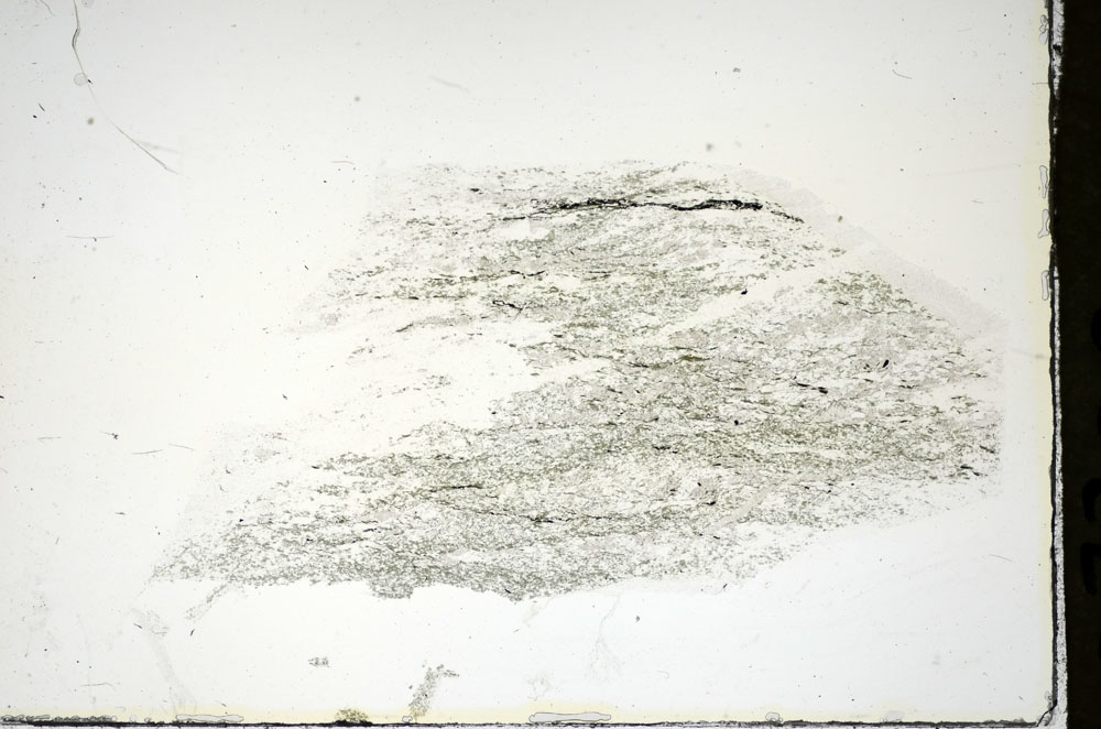 Plane Polarized, S84579