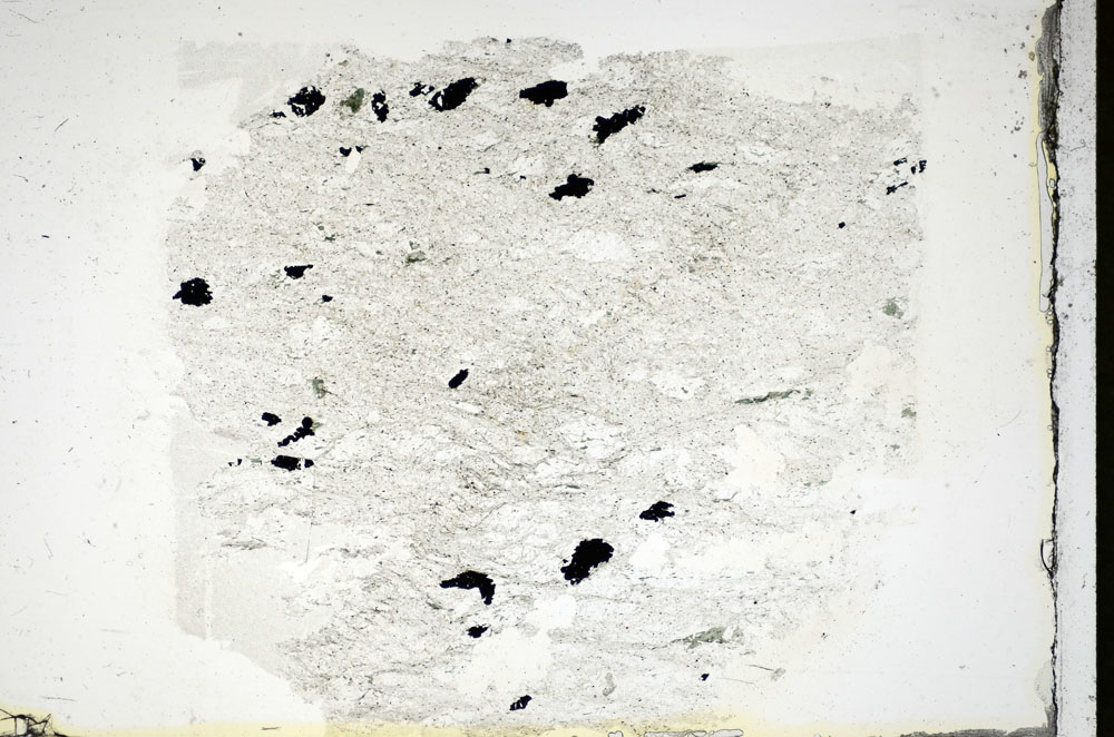 Plane Polarized, S84582