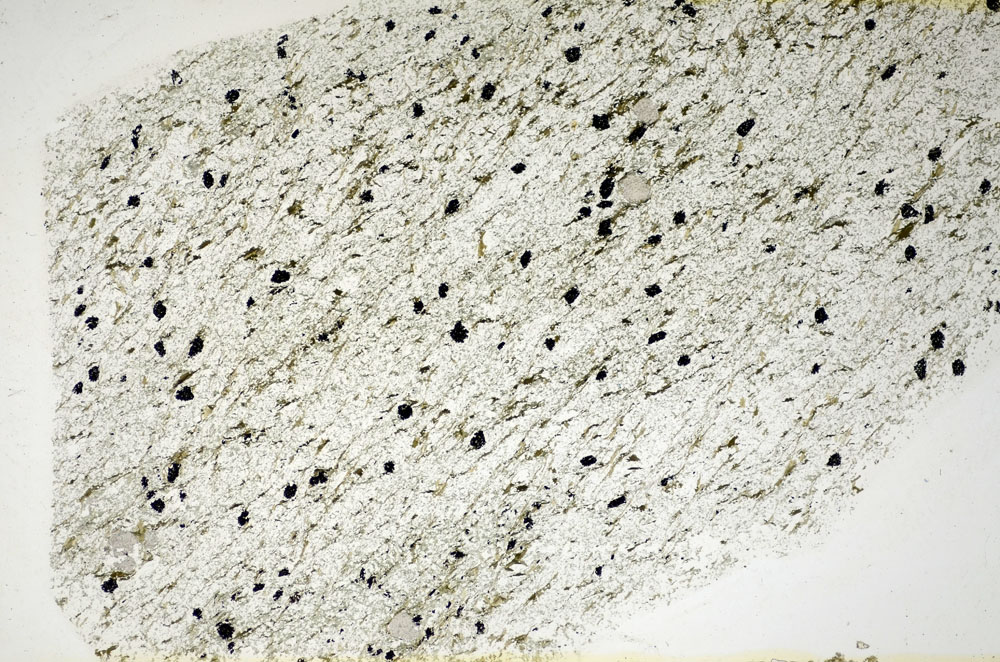 Plane Polarized, S84629