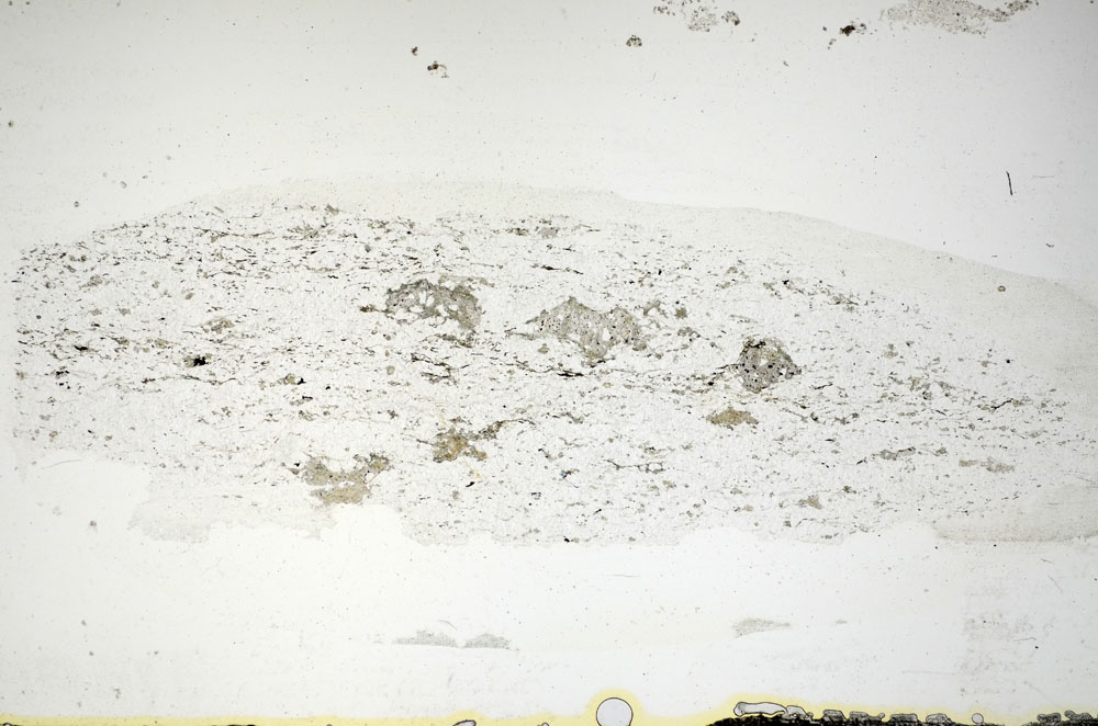 Plane Polarized, S84633