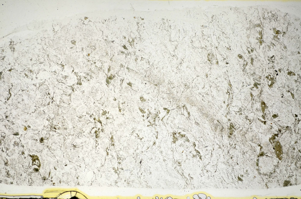 Plane Polarized, S84634