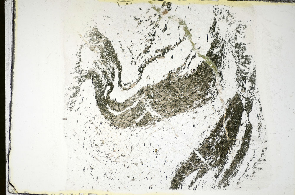 Plane Polarized, S84636