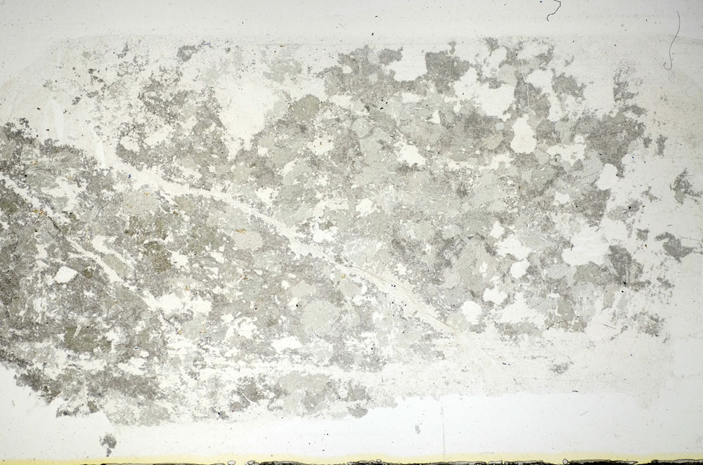 Plane Polarized, S84638