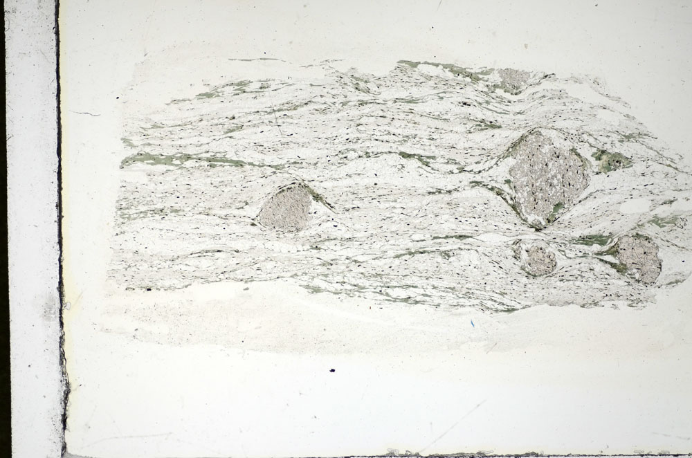 Plane Polarized, S84645