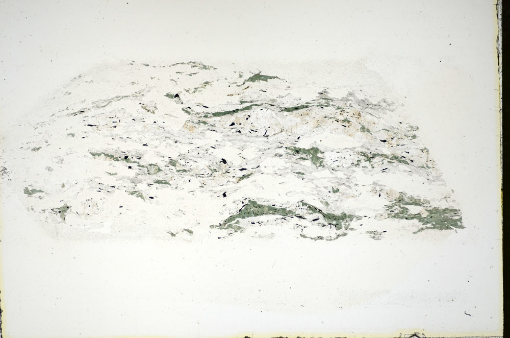 Plane Polarized, S84646