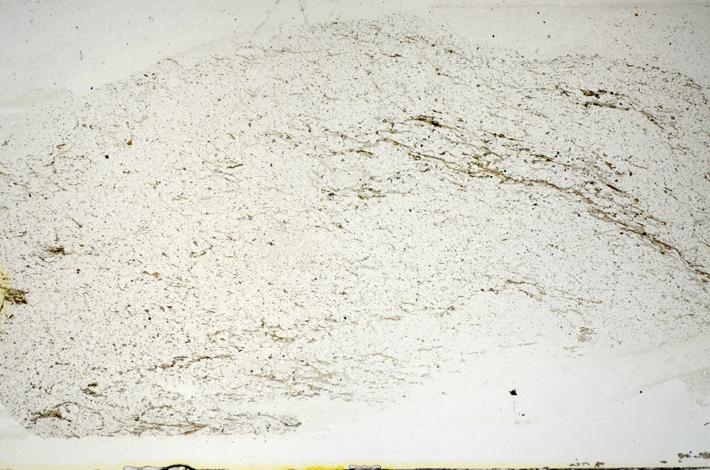 Plane Polarized, S84647