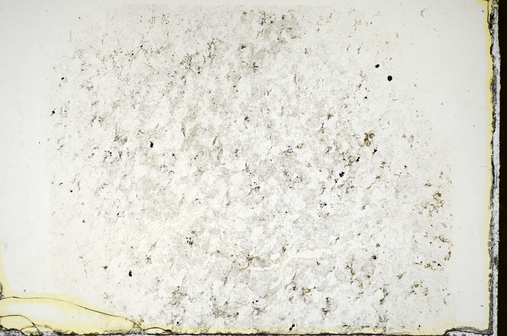 Plane Polarized, S84648