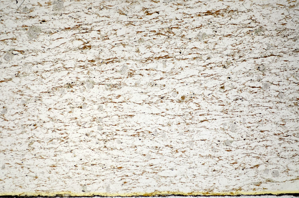 Plane Polarized, S84652