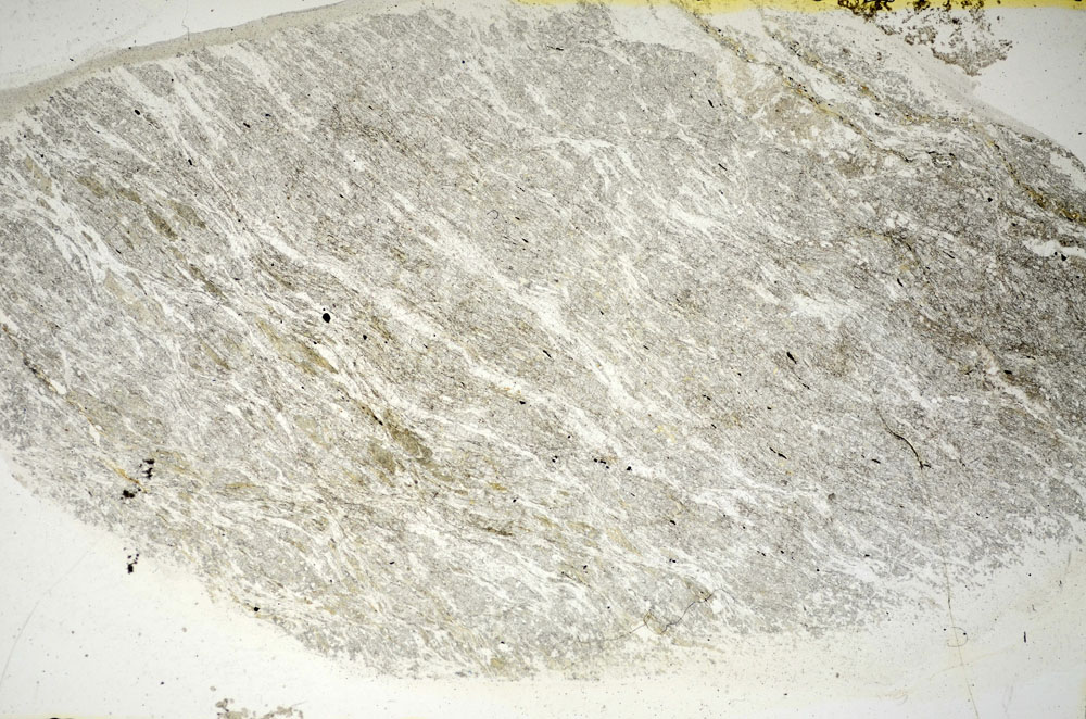 Plane Polarized, S84653