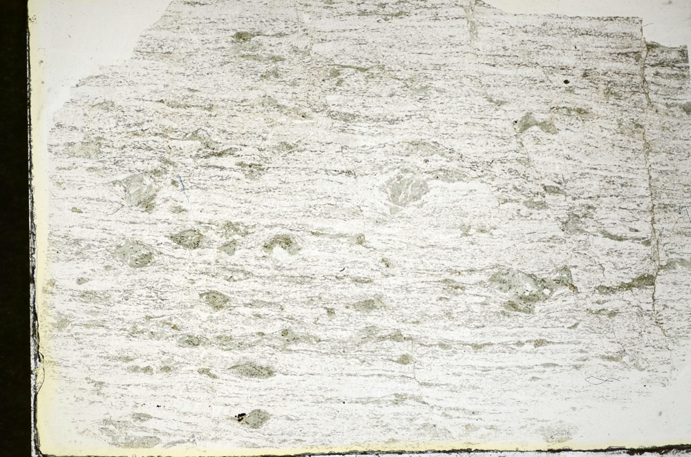 Plane Polarized, S84656