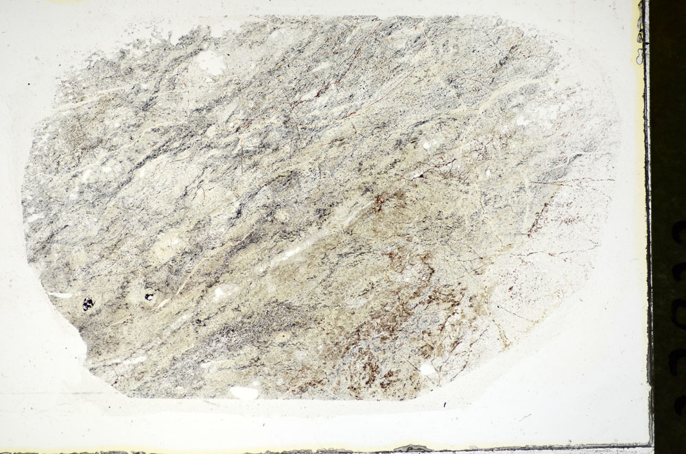 Plane Polarized, S84657