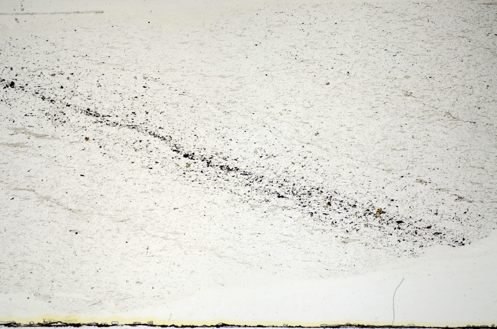 Plane Polarized, S84658