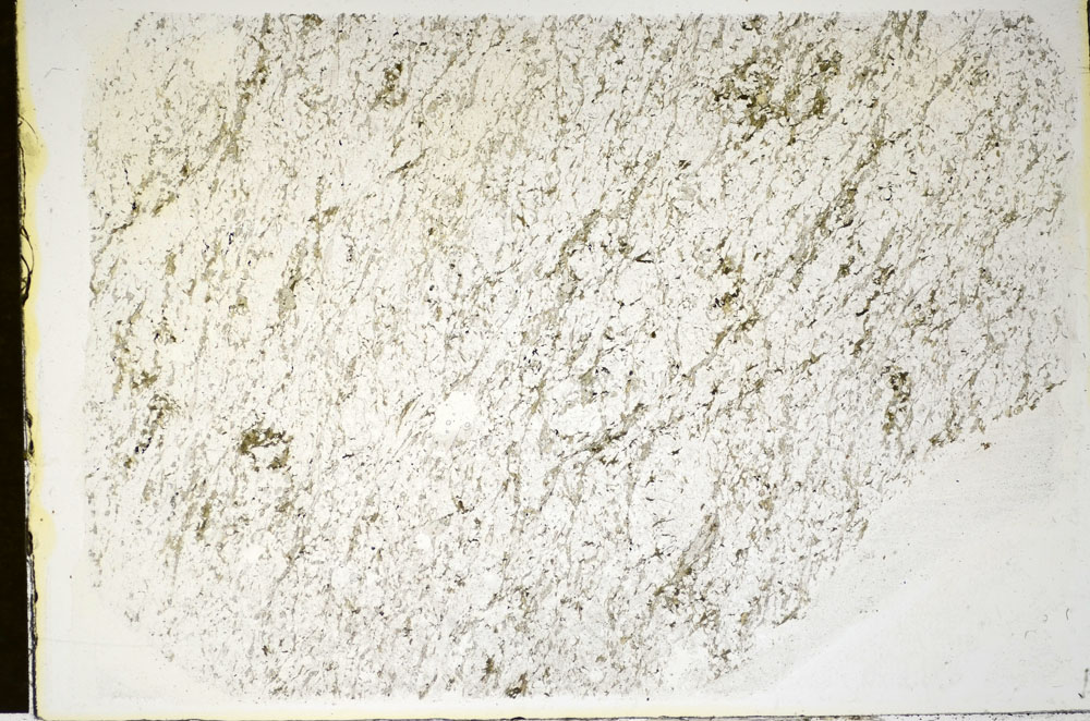 Plane Polarized, S84659