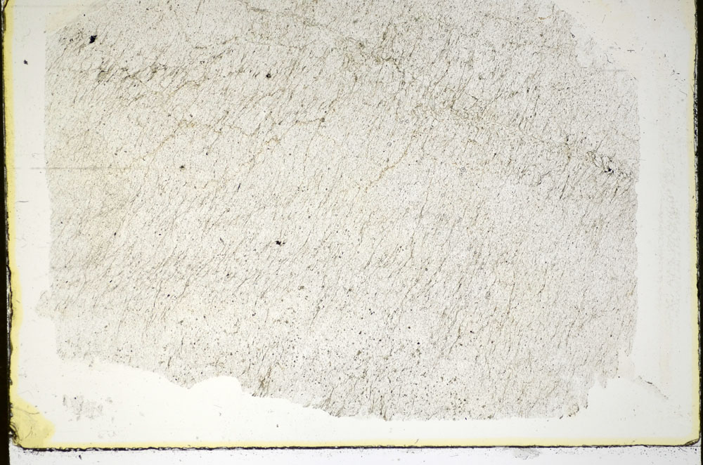 Plane Polarized, S84672