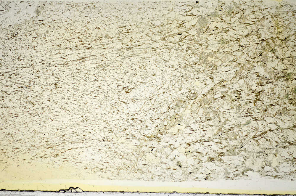 Plane Polarized, S84677