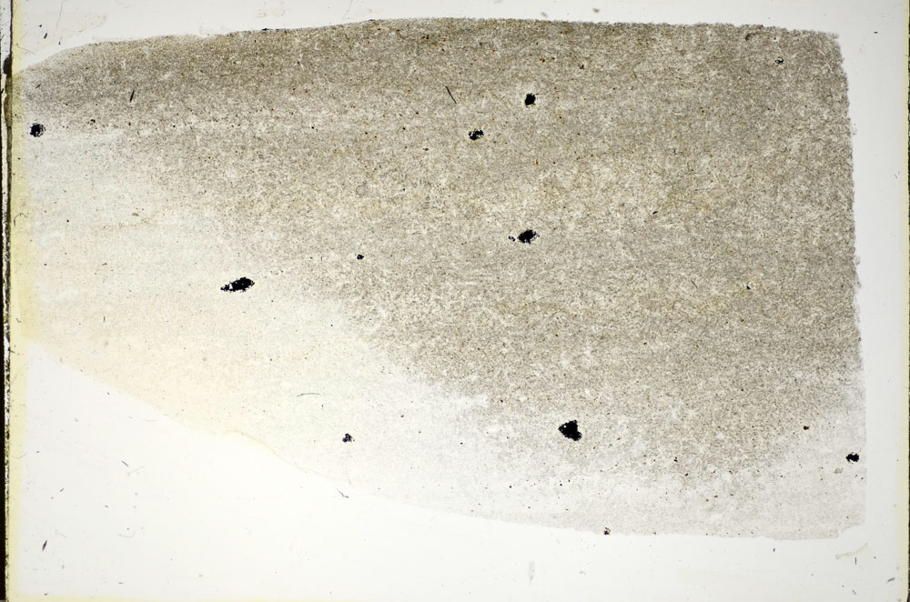 Plane Polarized, S84681