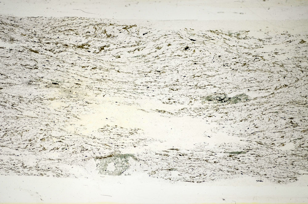 Plane Polarized, S84689