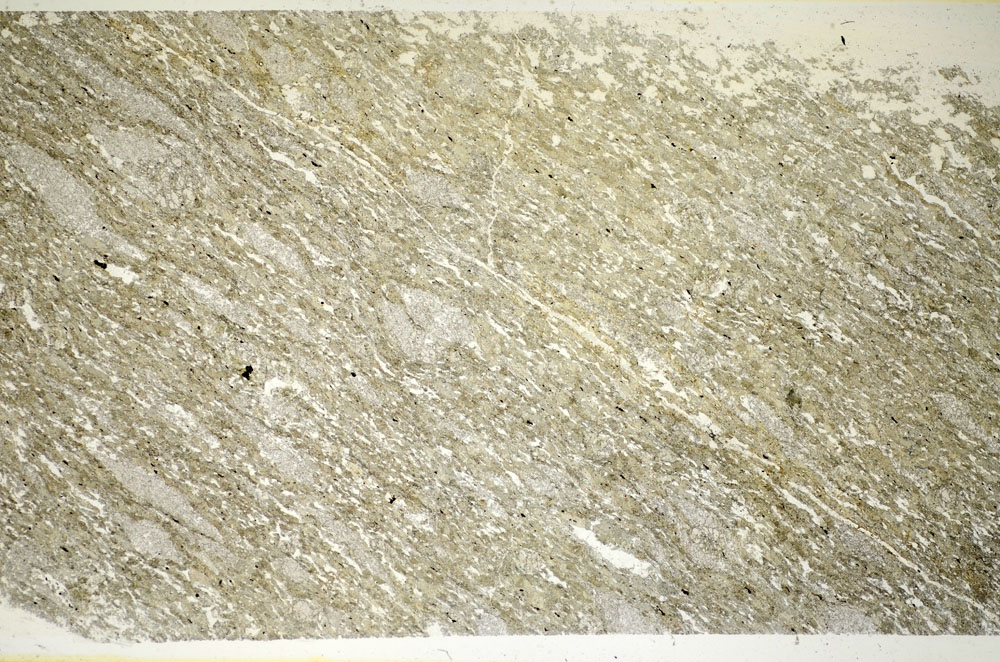 Plane Polarized, S84690