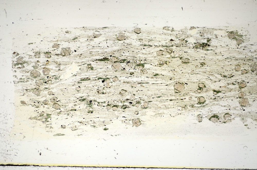Plane Polarized, S84693