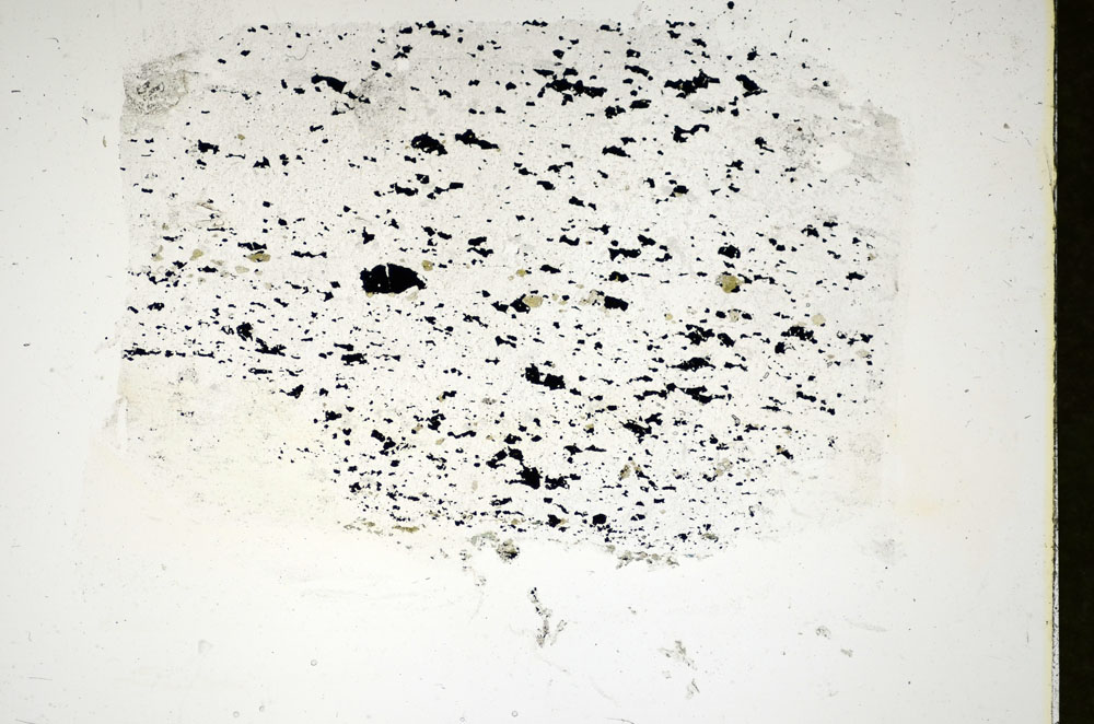 Plane Polarized, S84697