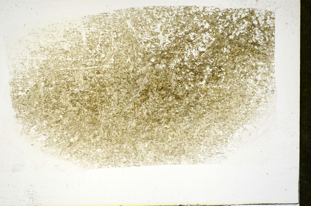 Plane Polarized, S84702